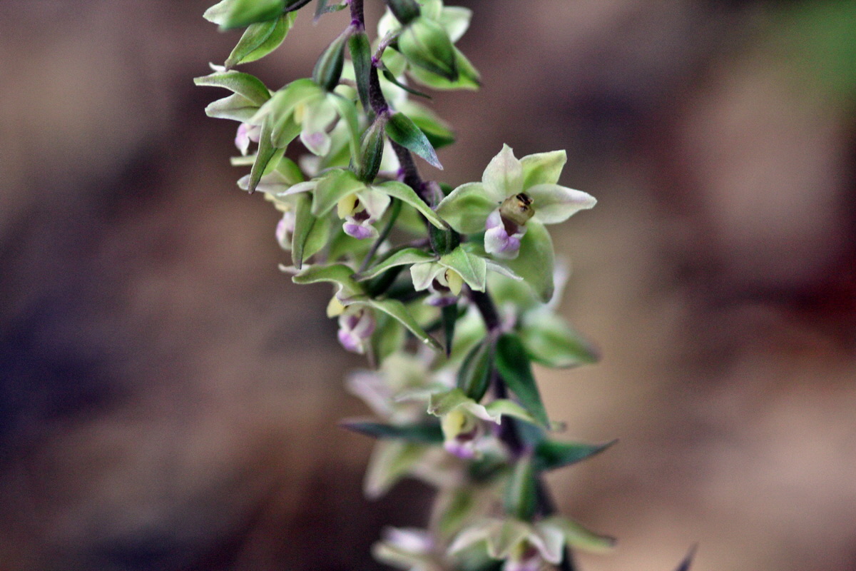 2013_08_16_00028955p_Bildgr��e �ndern