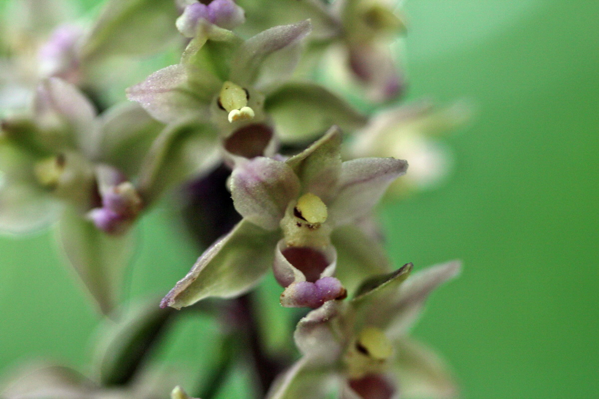 2013_08_16_00029000p_Bildgr��e �ndern