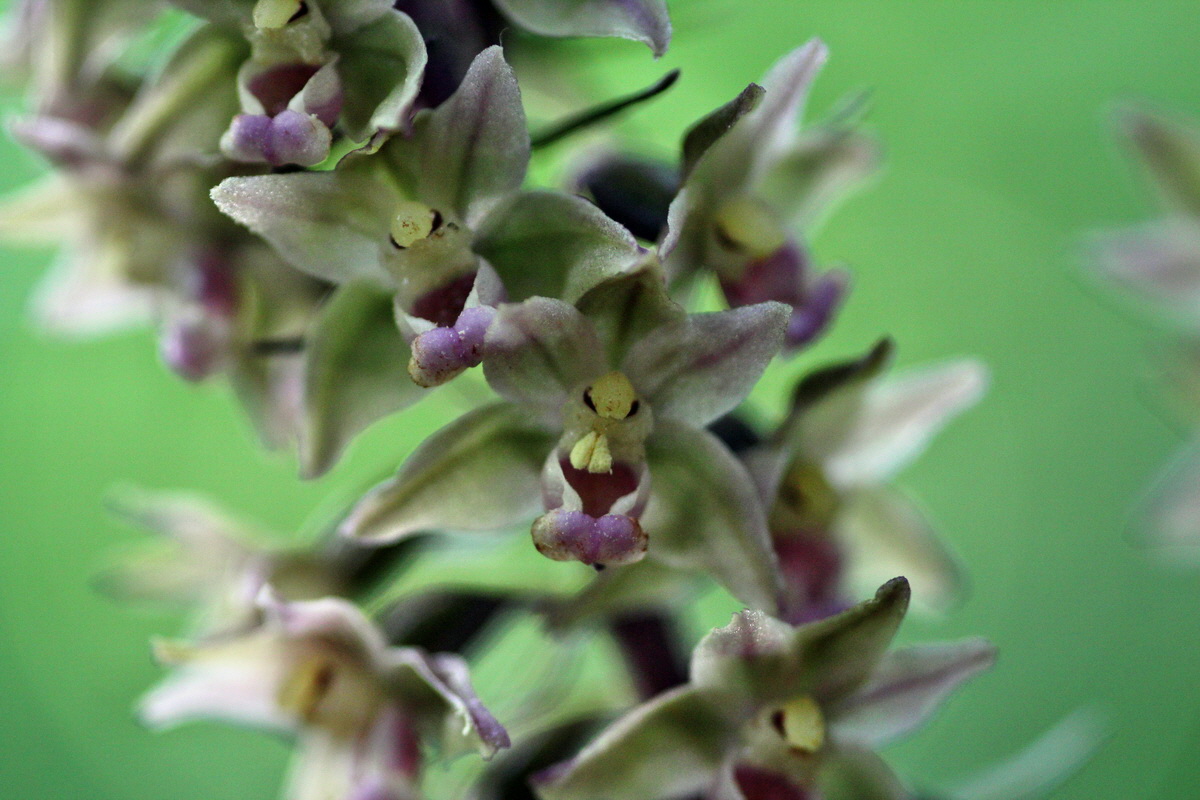 2013_08_16_00029013p_Bildgr��e �ndern