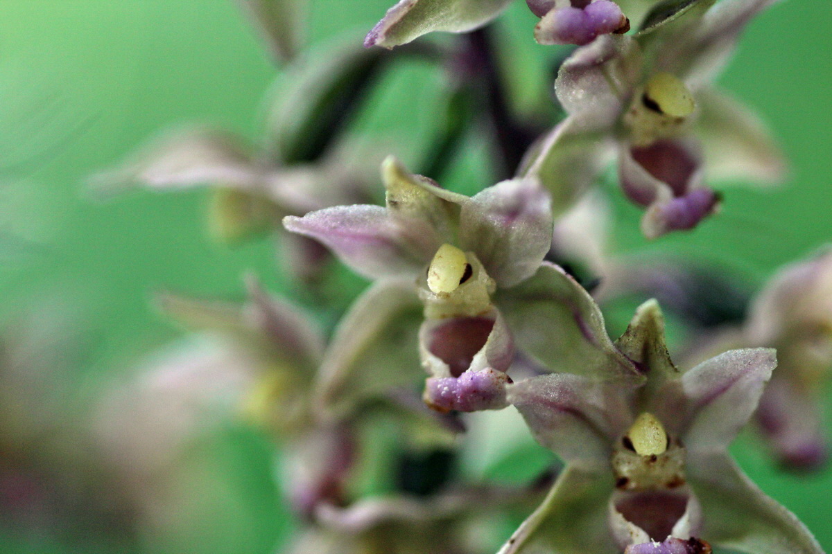 2013_08_16_00029021p_Bildgr��e �ndern