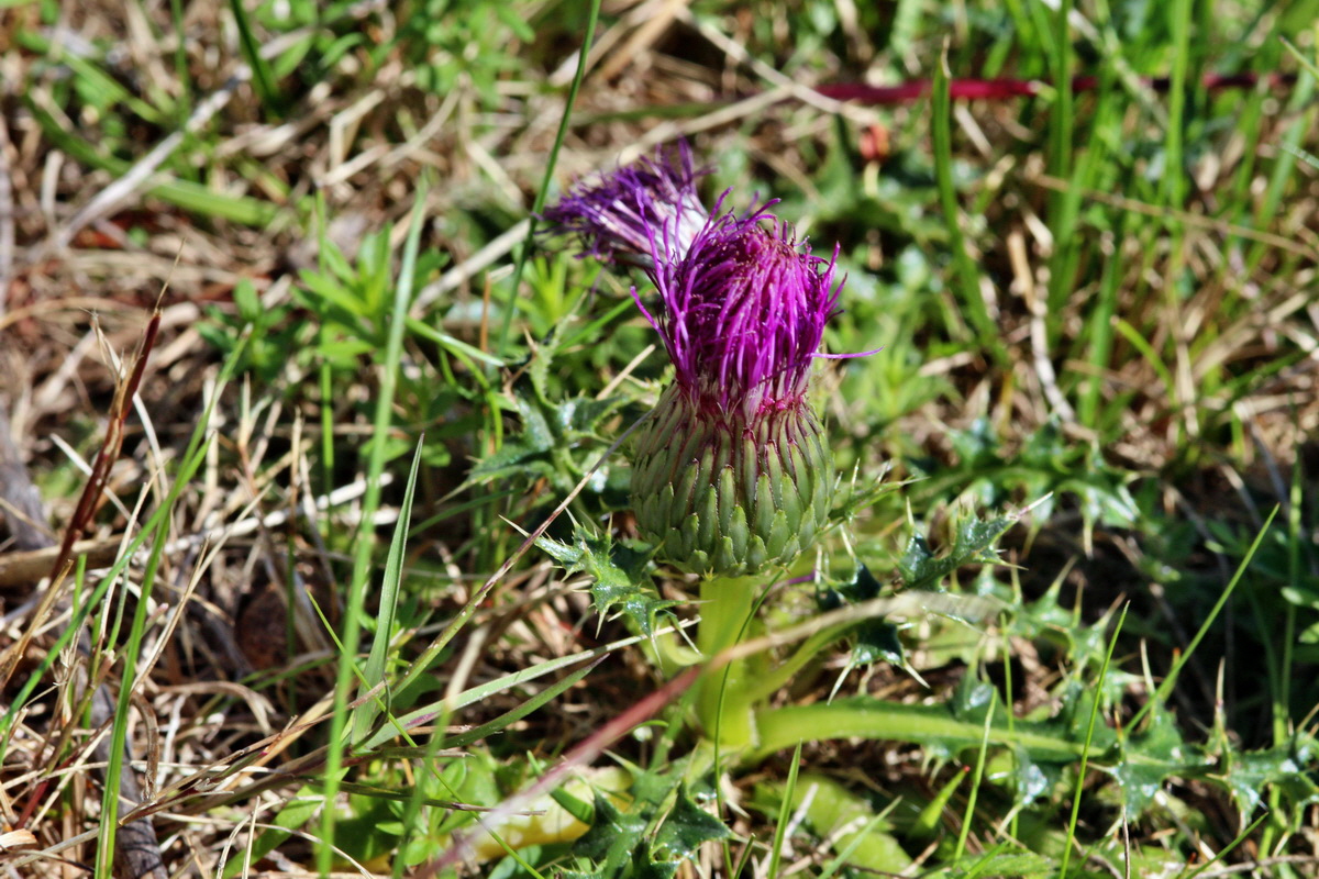 2013_08_16_00029053p_Bildgr��e �ndern