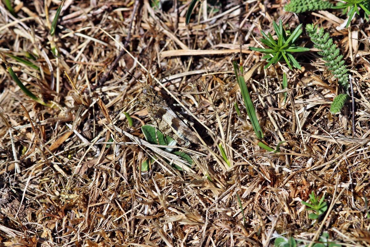 2013_08_16_00029056p_Bildgr��e �ndern