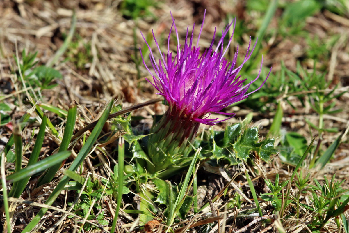 2013_08_16_00029059p_Bildgr��e �ndern