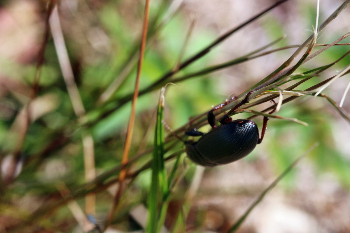 2013_08_16_00029075p_Bildgr��e �ndern