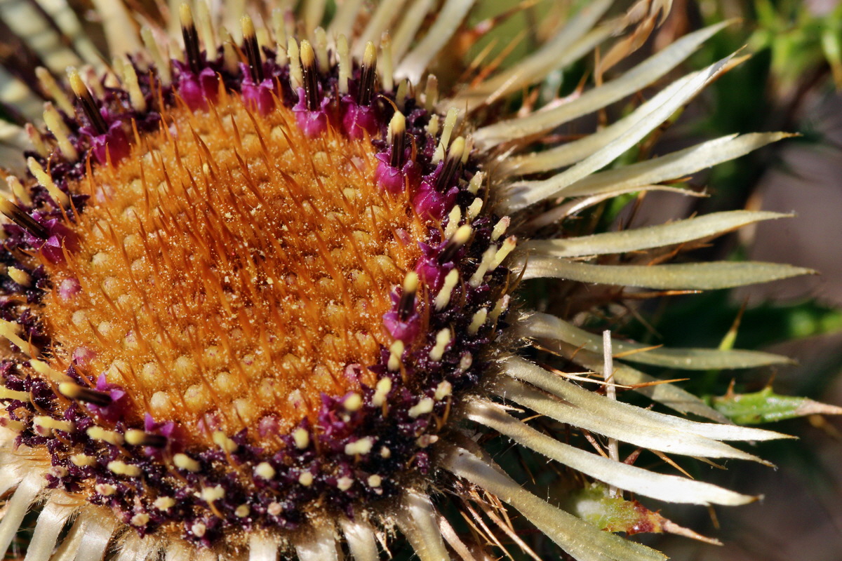 2013_08_16_00029080p_Bildgr��e �ndern