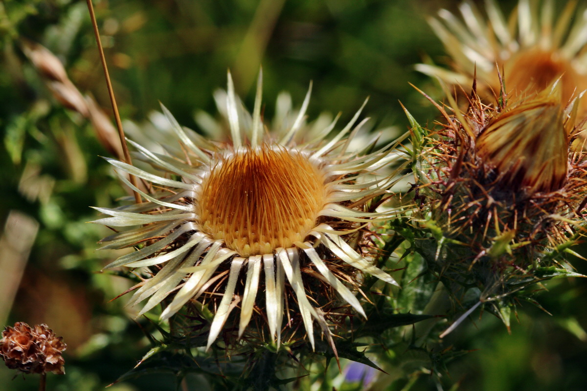 2013_08_16_00029084p_Bildgr��e �ndern