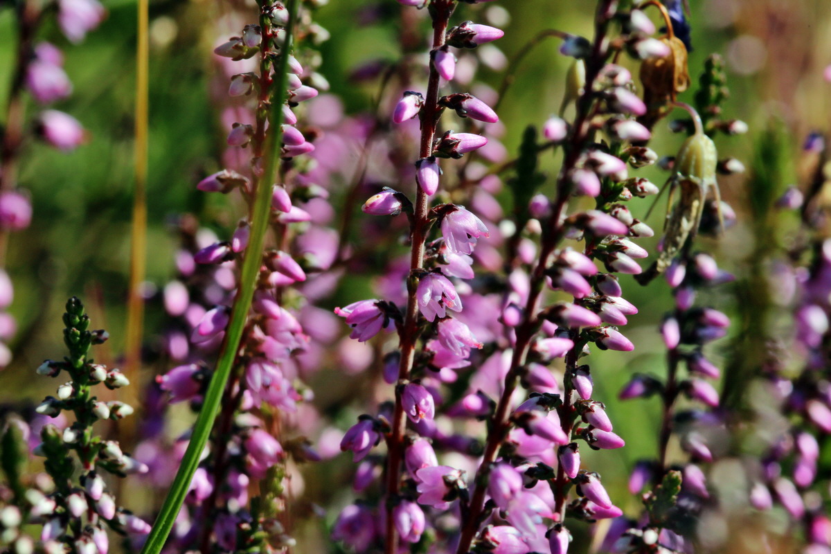 2013_08_16_00029088p_Bildgr��e �ndern