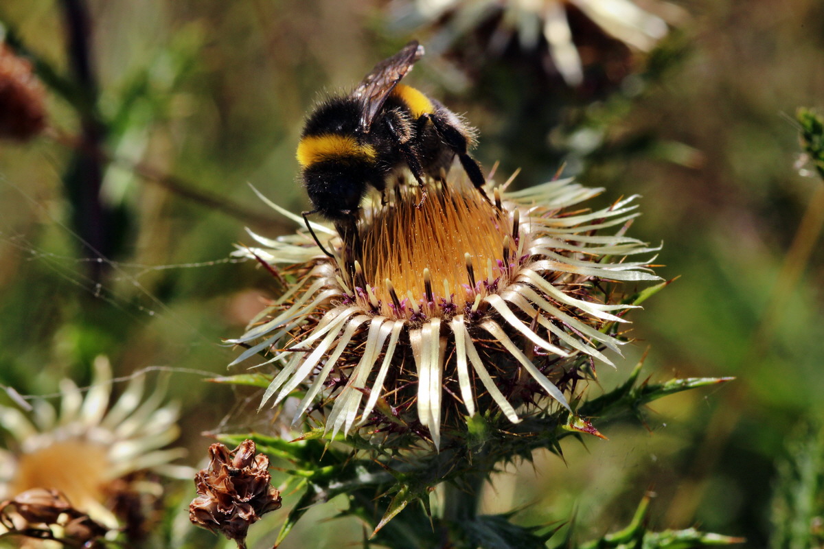 2013_08_16_00029099p_Bildgr��e �ndern