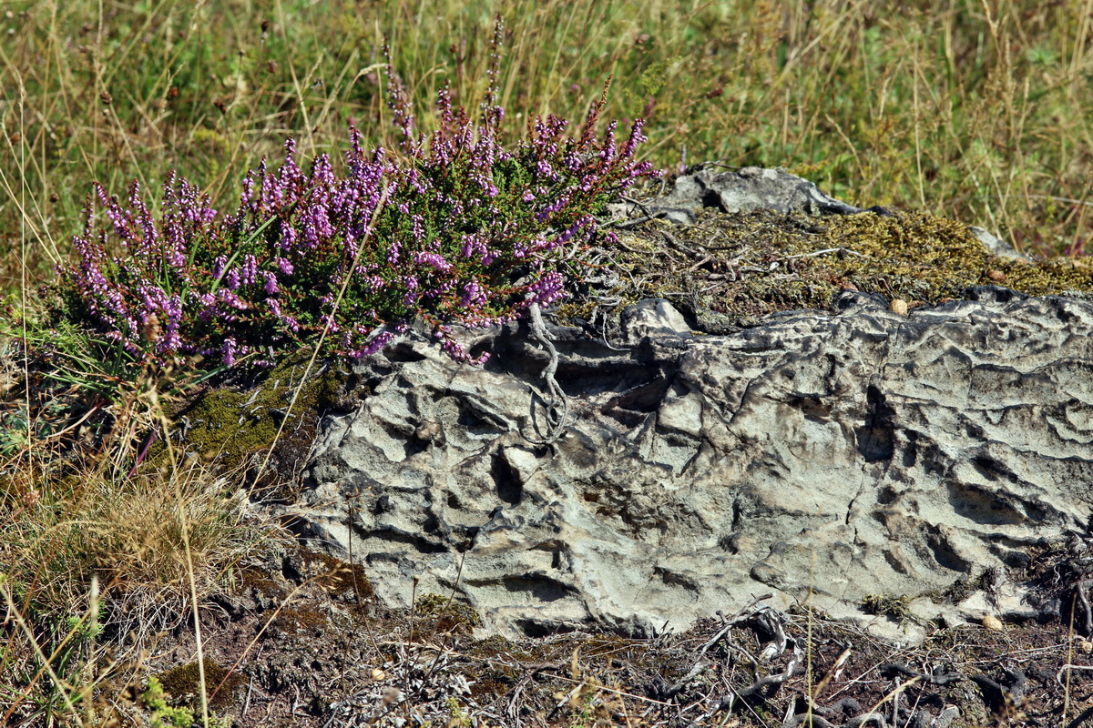 2013_08_16_00029108p_Bildgr��e �ndern