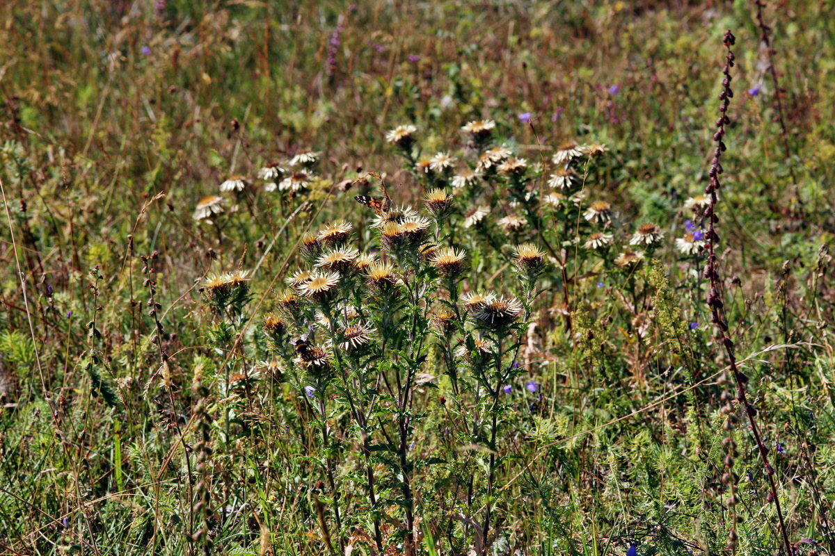 2013_08_16_00029114p_Bildgr��e �ndern