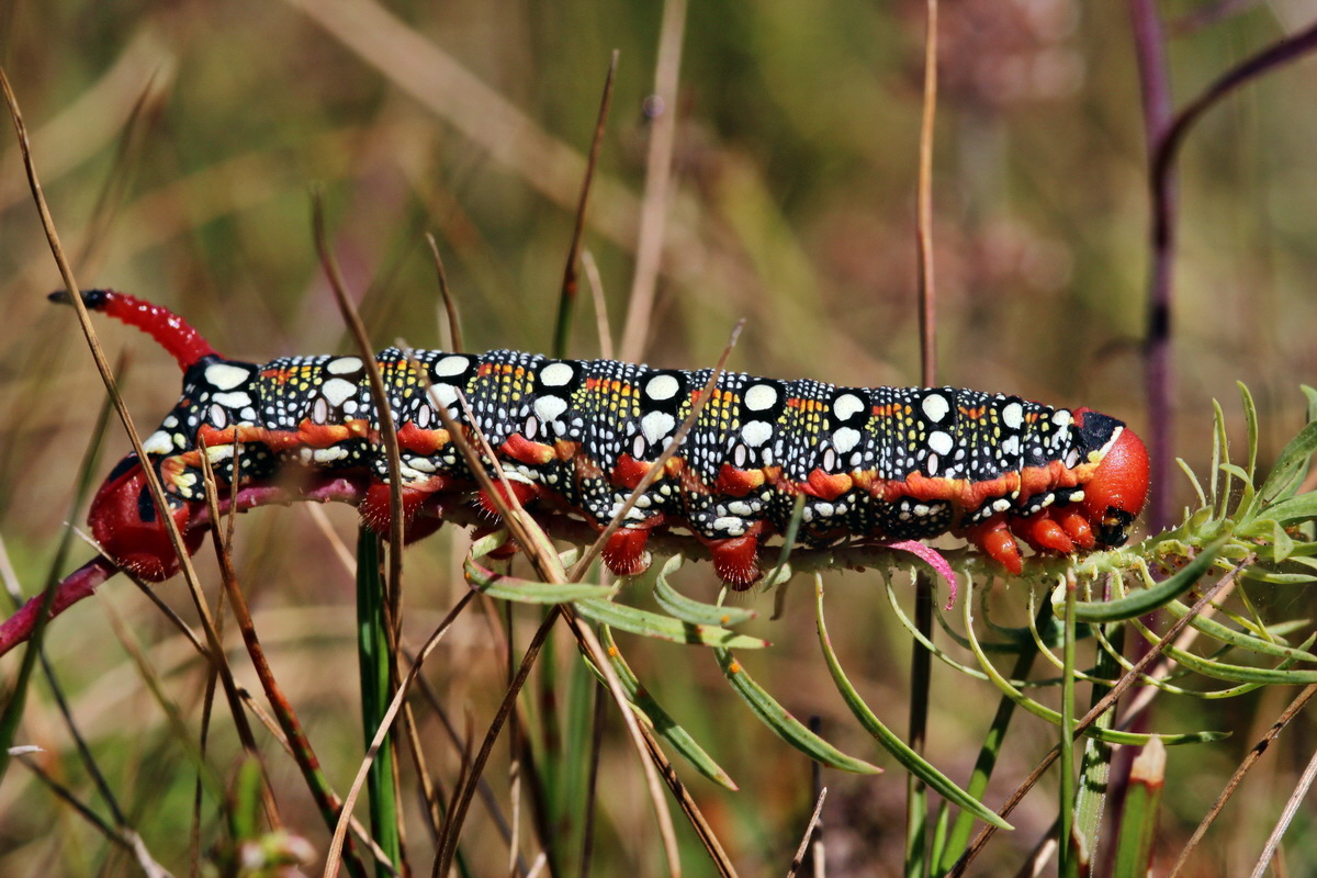 2013_08_16_00029141p_Bildgr��e �ndern