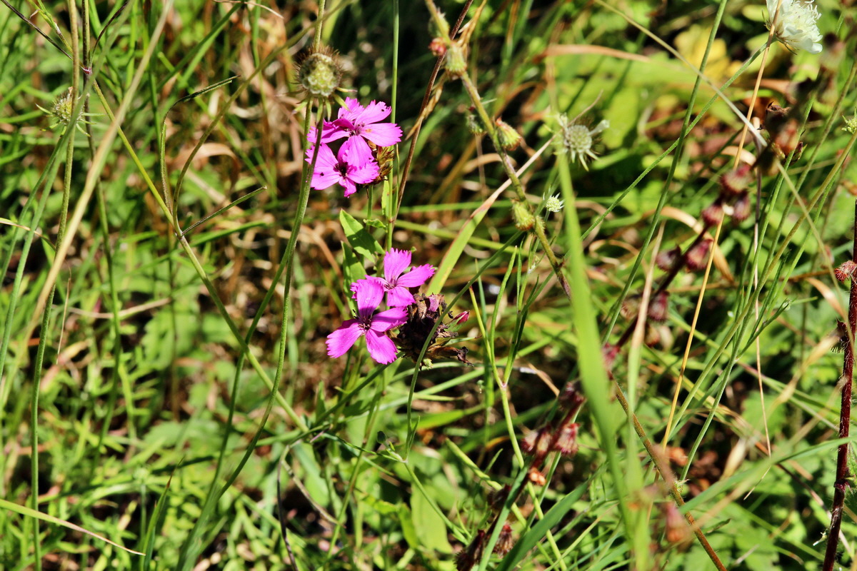 2013_08_16_00029165p_Bildgr��e �ndern