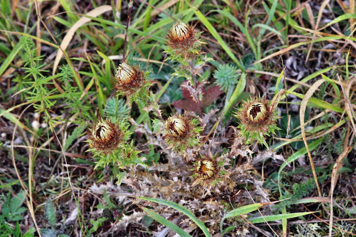 IMG_2013_08_21_016642p_Bildgr��e �ndern