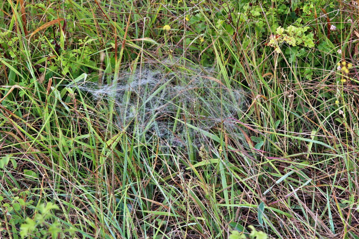 IMG_2013_08_21_016645p_Bildgr��e �ndern