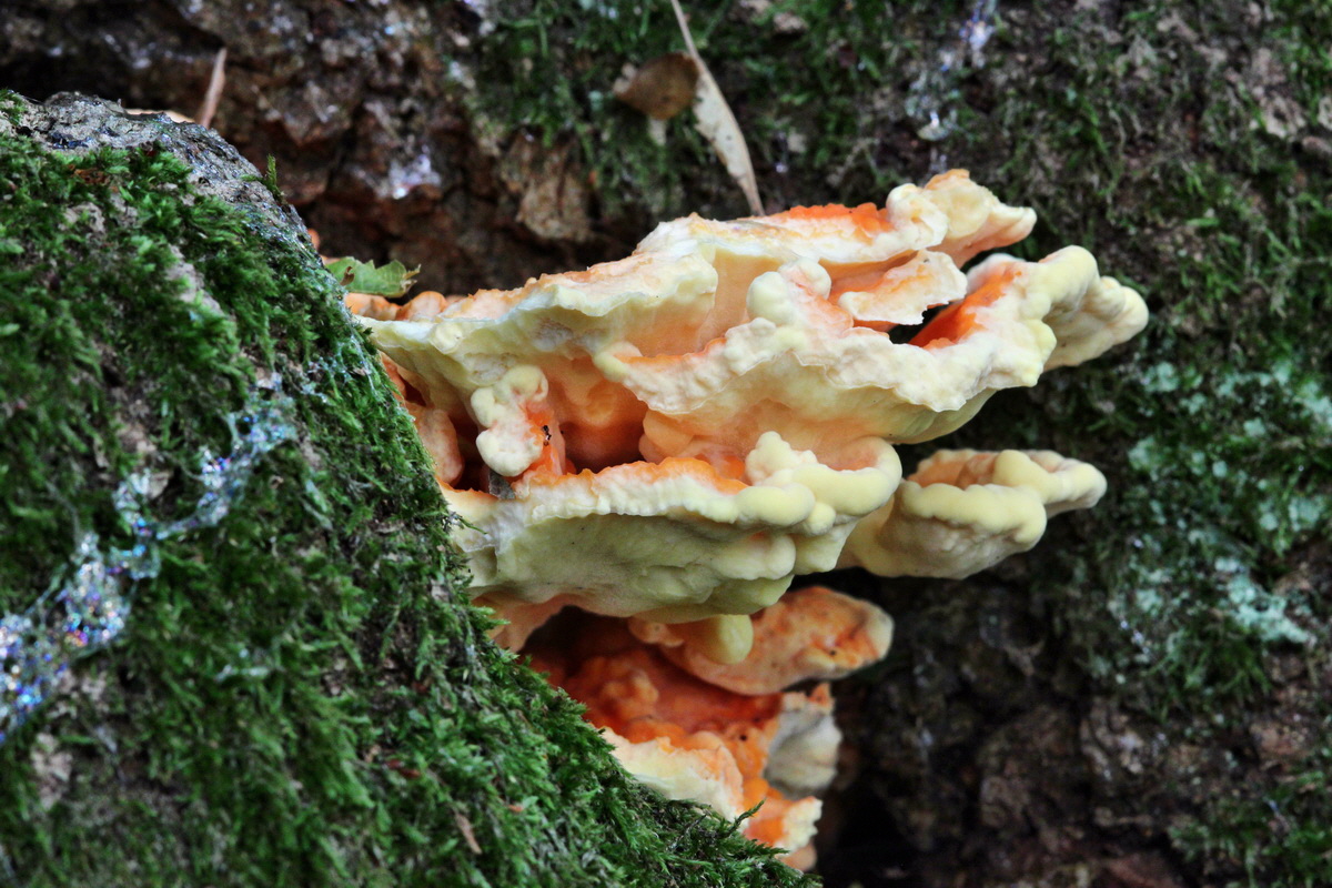 IMG_2013_08_21_016652p_Bildgr��e �ndern