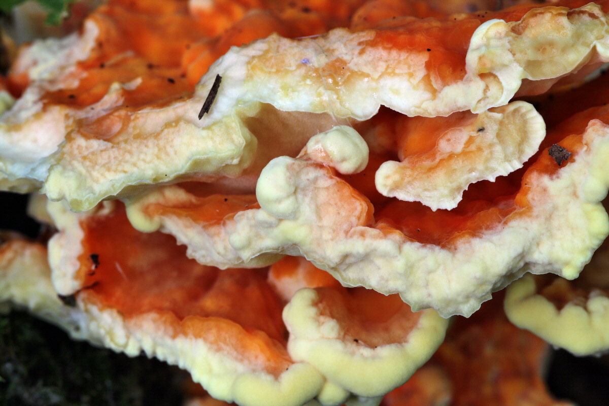 IMG_2013_08_21_016656p_Bildgr��e �ndern