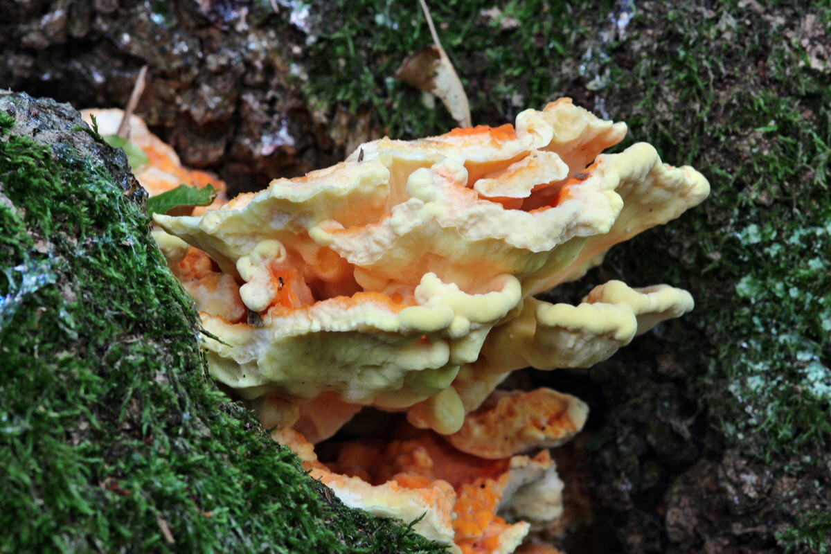 IMG_2013_08_21_016667p_Bildgr��e �ndern