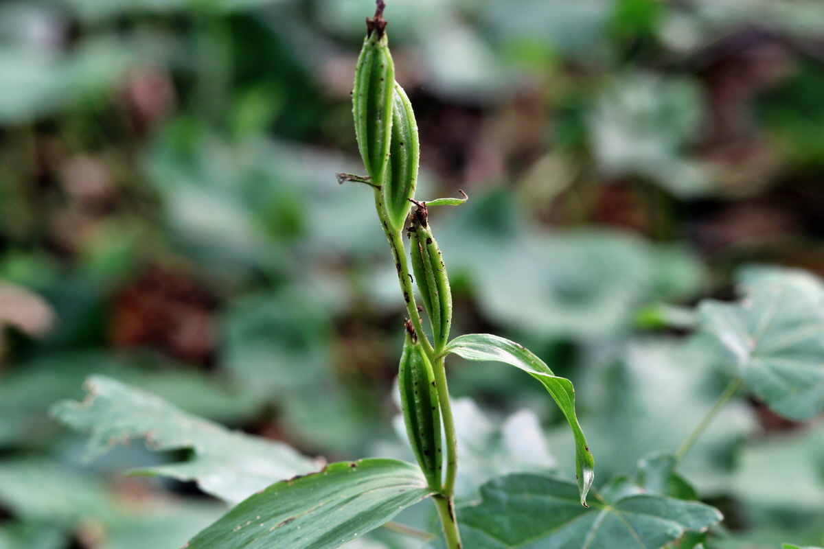 IMG_2013_08_21_016673p_Bildgr��e �ndern