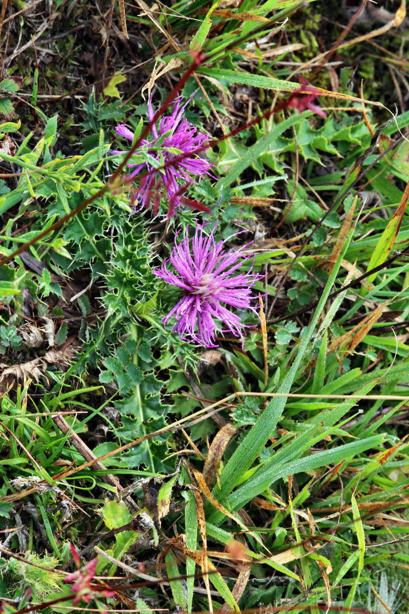 IMG_2013_08_21_016686p_Bildgr��e �ndern