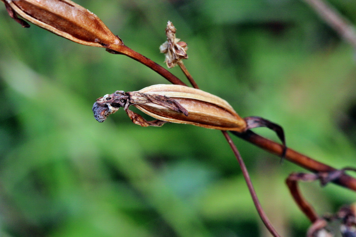 IMG_2013_08_21_016692p_Bildgr��e �ndern