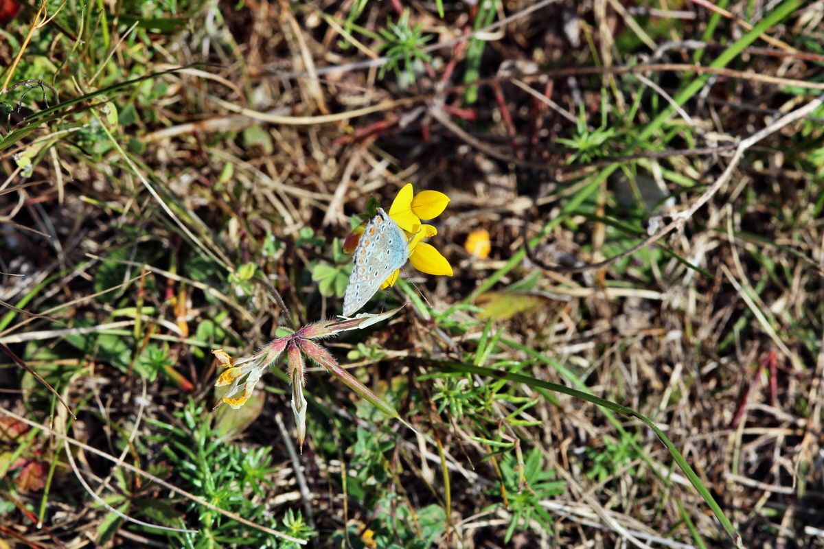 2013_08_26_00029169p_Bildgr��e �ndern