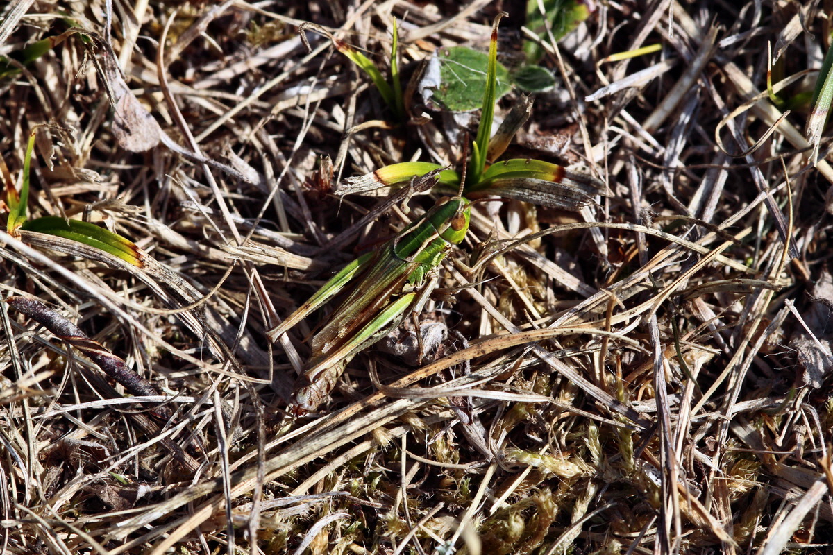 2013_08_26_00029173p_Bildgr��e �ndern