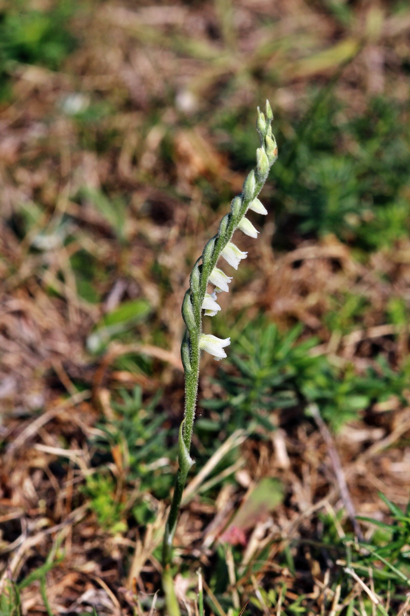 2013_08_26_00029175p_Bildgr��e �ndern