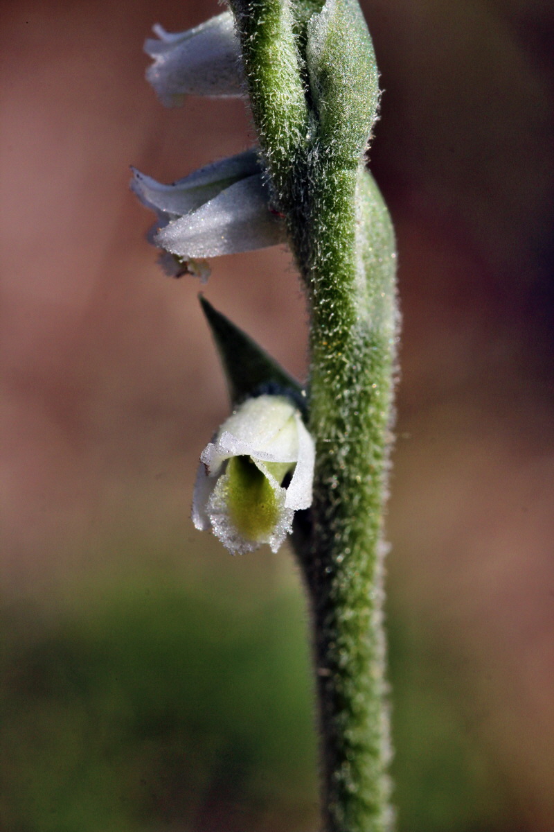 2013_08_26_00029182p_Bildgr��e �ndern