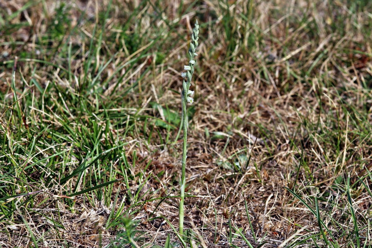 2013_08_26_00029188p_Bildgr��e �ndern