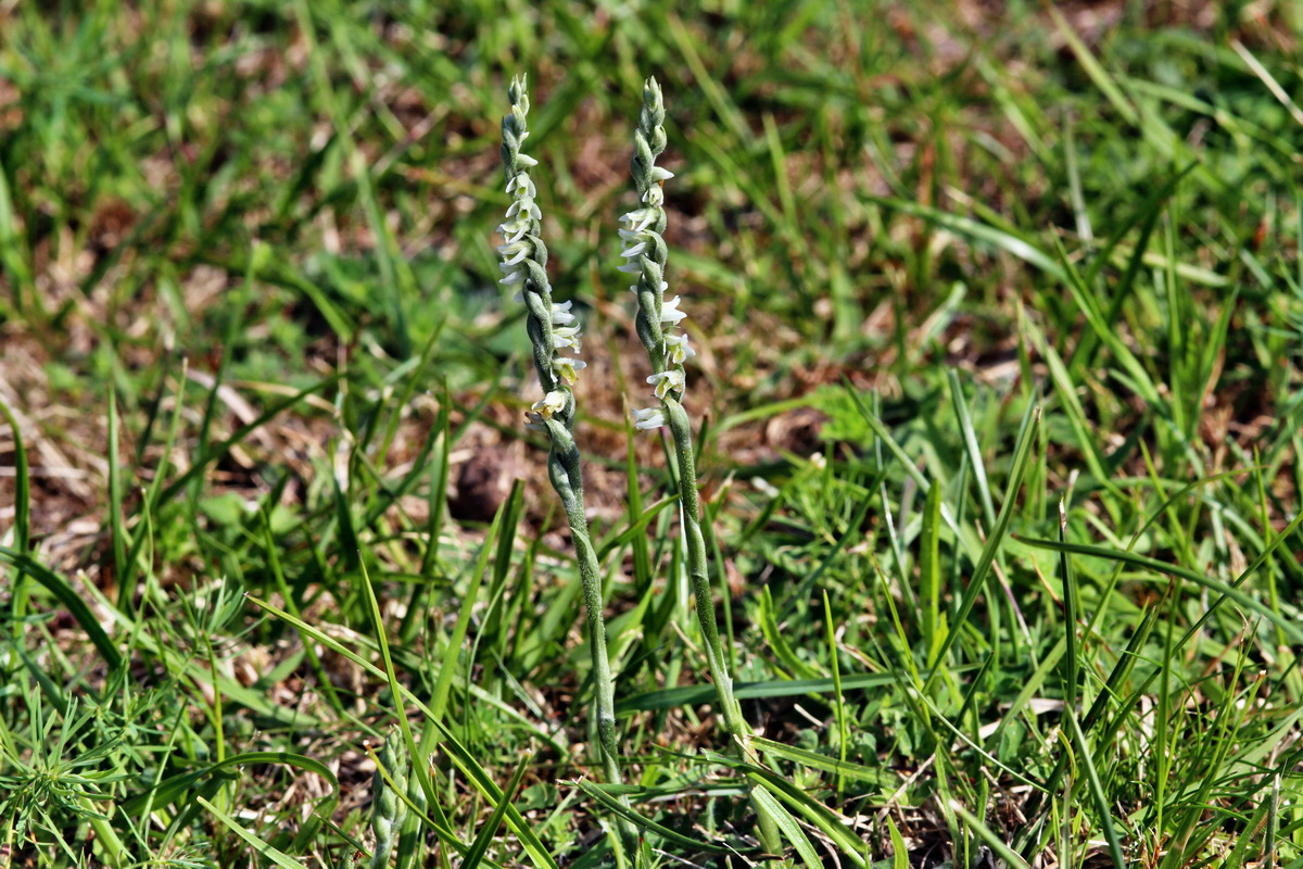 2013_08_26_00029216p_Bildgr��e �ndern