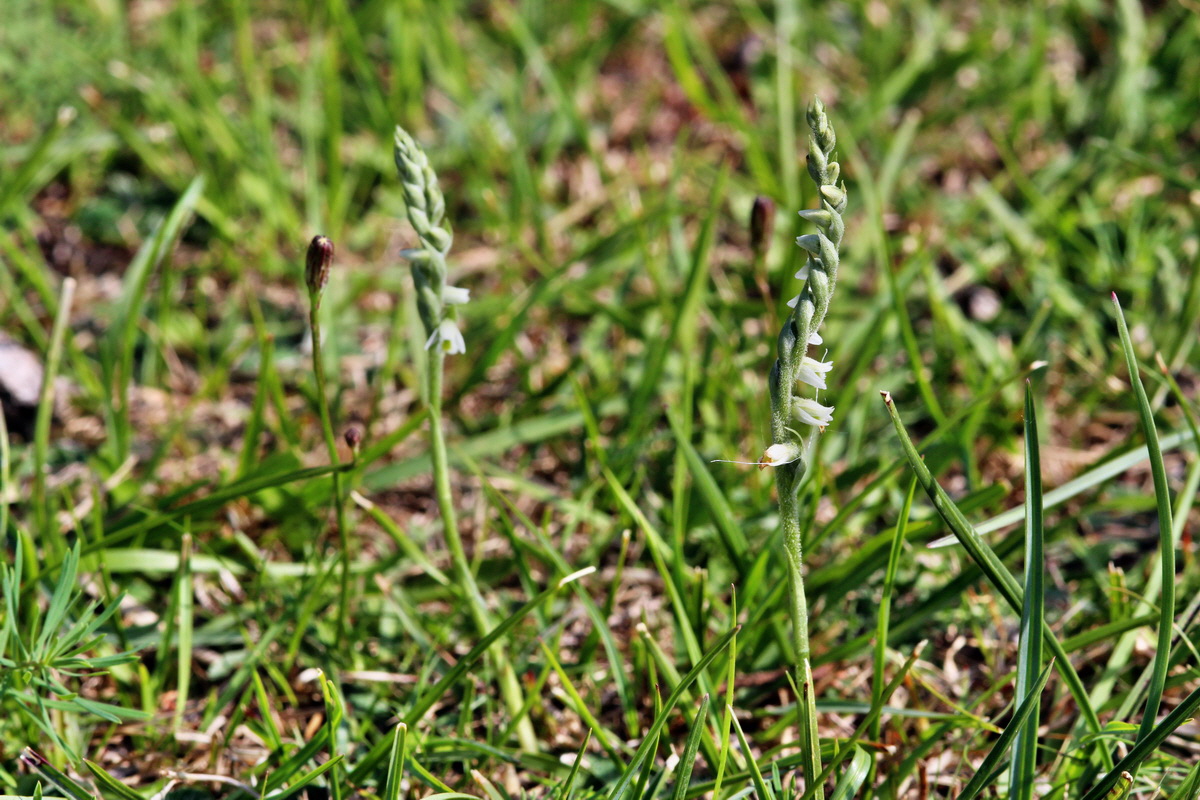 2013_08_26_00029221p_Bildgr��e �ndern