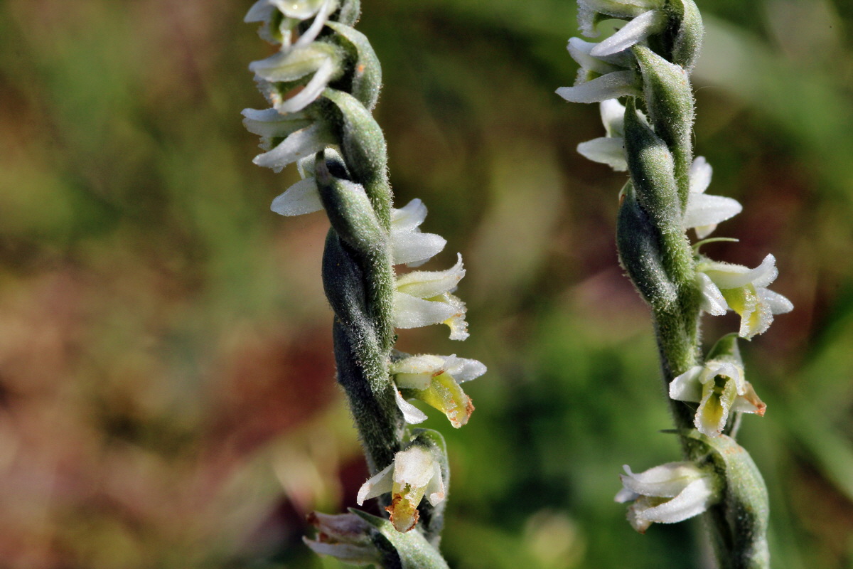 2013_08_26_00029225p_Bildgr��e �ndern