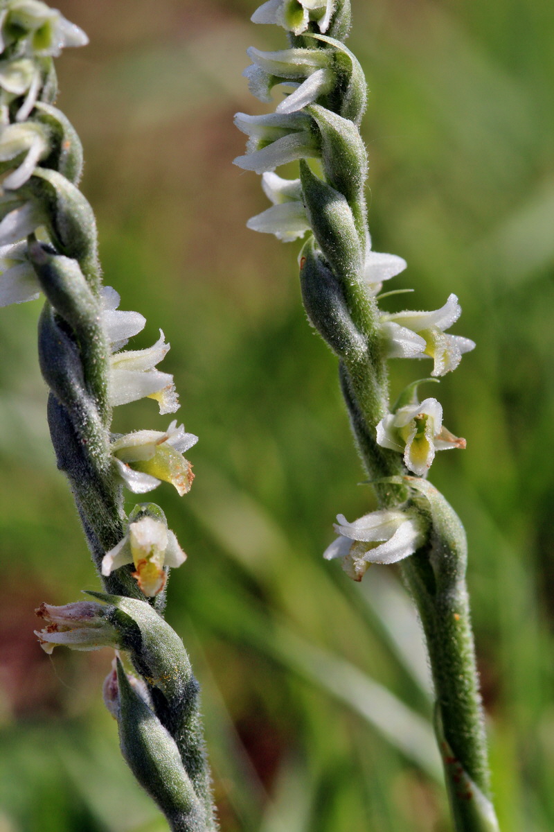 2013_08_26_00029229p_Bildgr��e �ndern