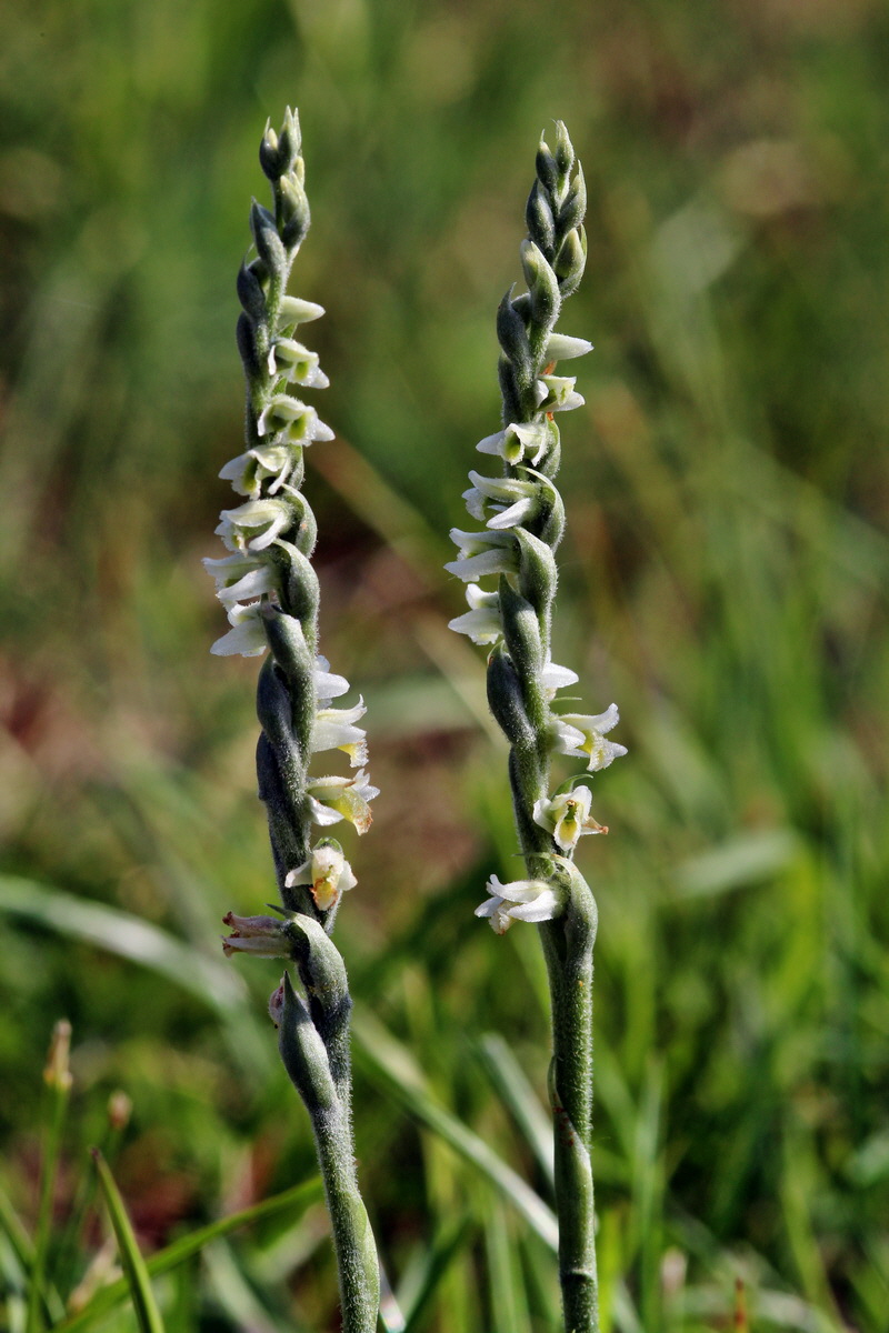 2013_08_26_00029235p_Bildgr��e �ndern