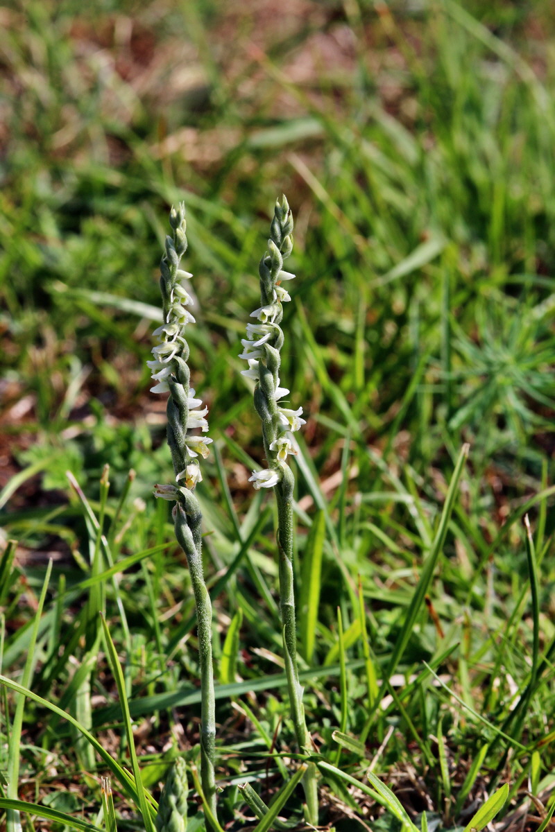 2013_08_26_00029240p_Bildgr��e �ndern