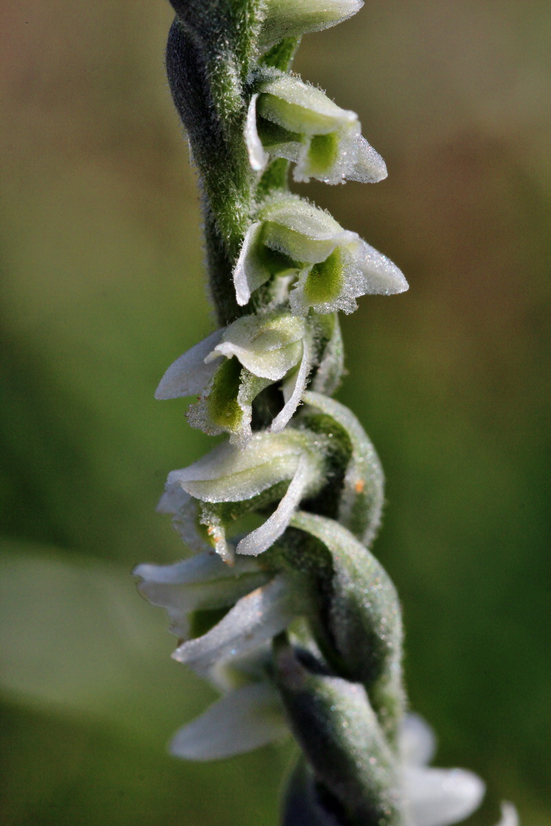 2013_08_26_00029242p_Bildgr��e �ndern