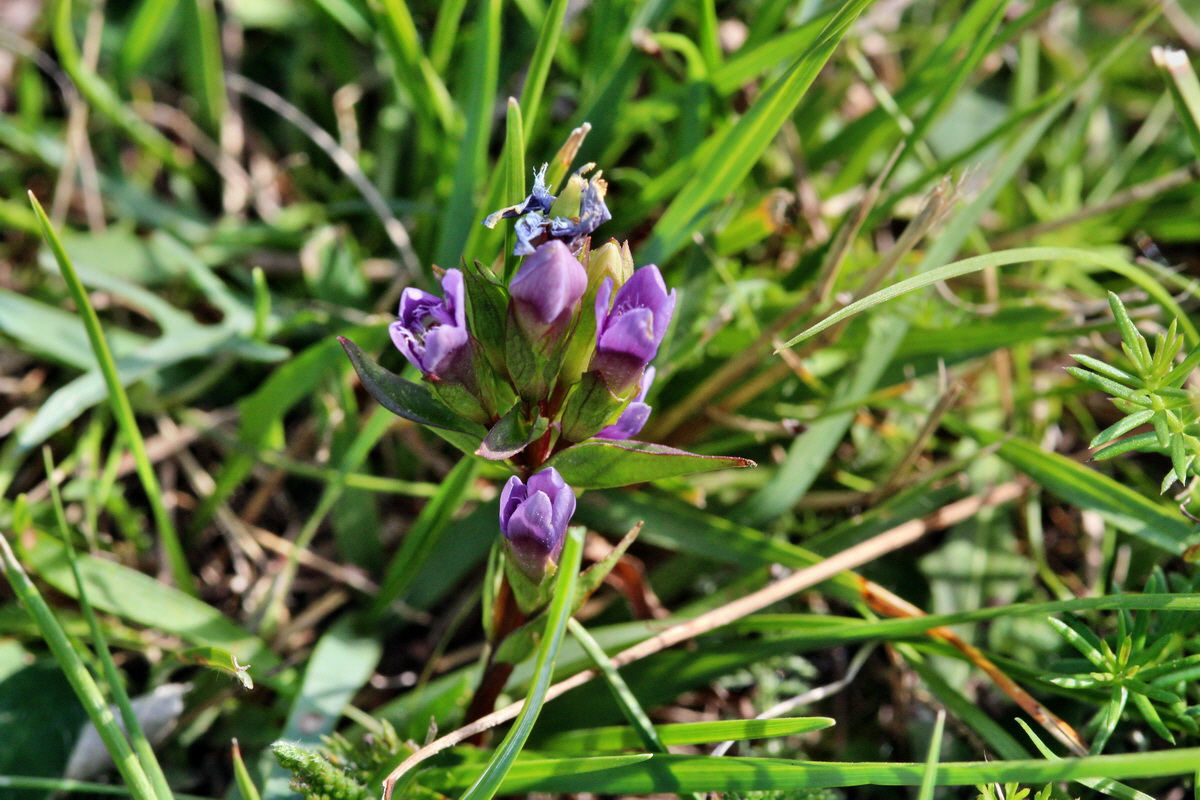 2013_08_26_00029255p_Bildgr��e �ndern