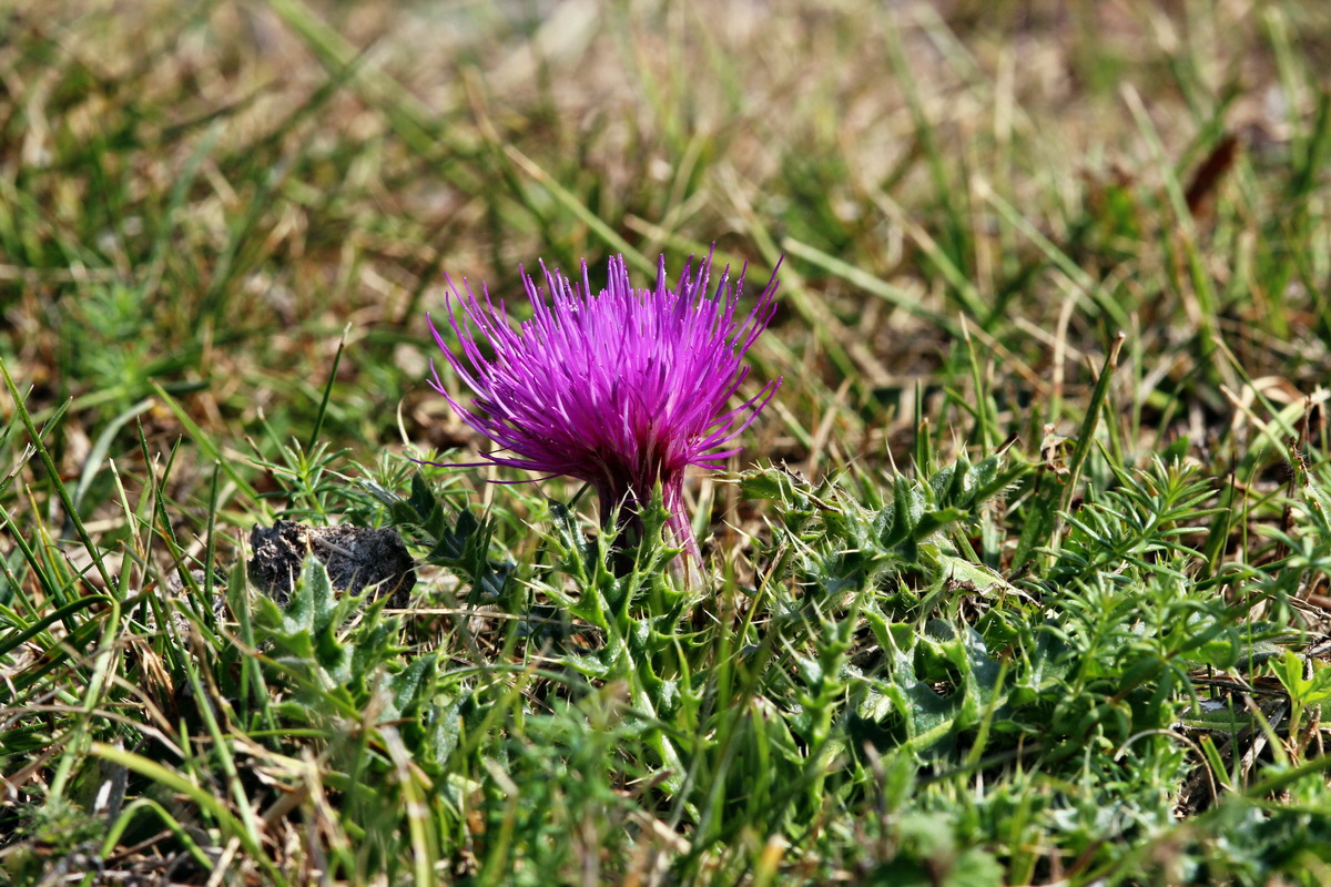 2013_08_26_00029257p_Bildgr��e �ndern