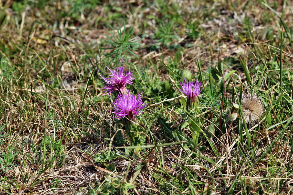 2013_08_26_00029261p_Bildgr��e �ndern