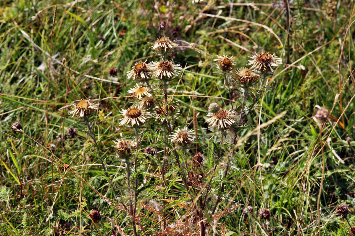 2013_08_26_00029269p_Bildgr��e �ndern