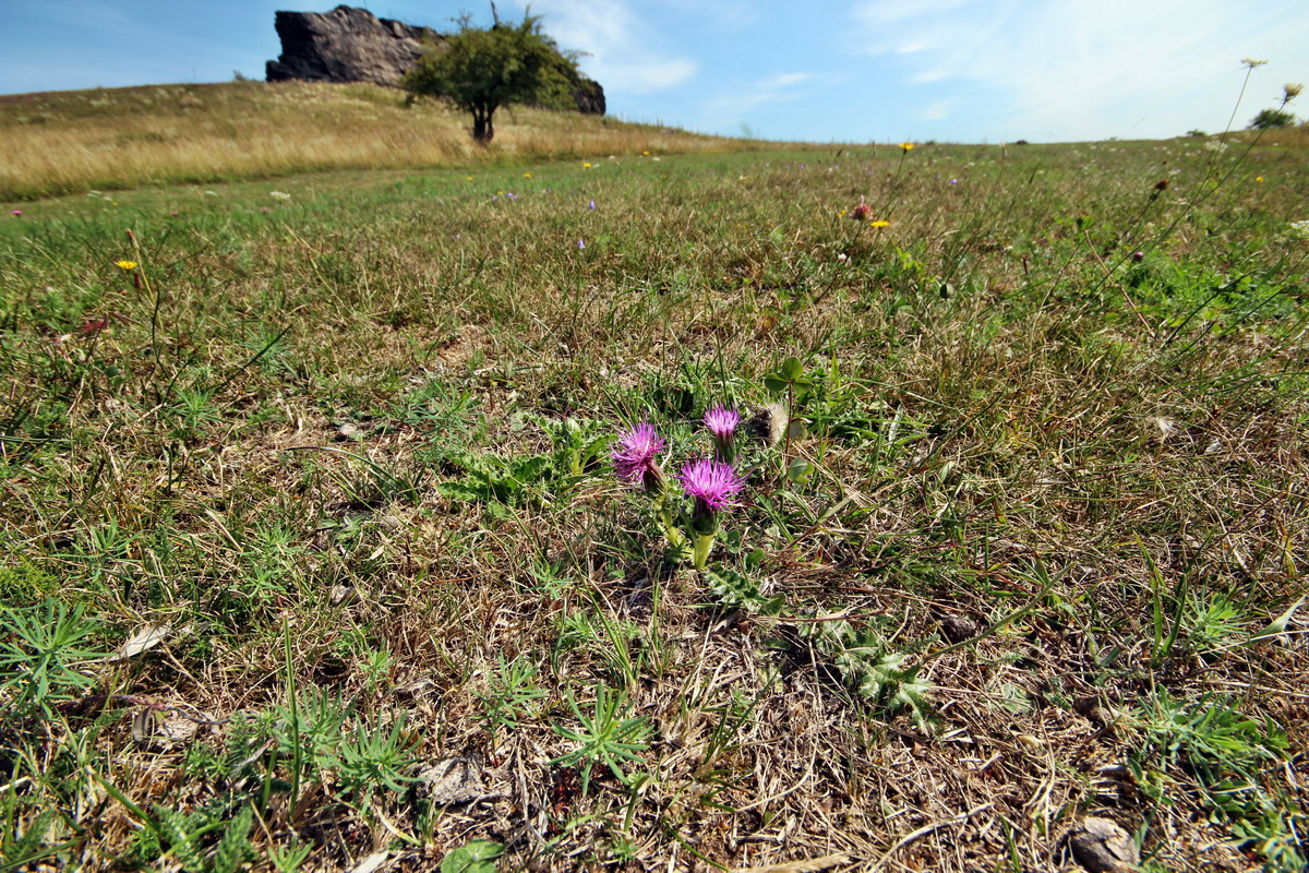 2013_08_26_00029294p_Bildgr��e �ndern