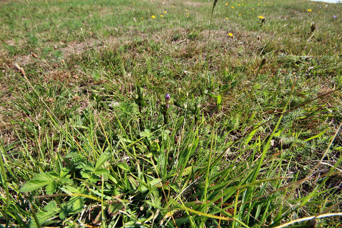 2013_08_26_00029299p_Bildgr��e �ndern