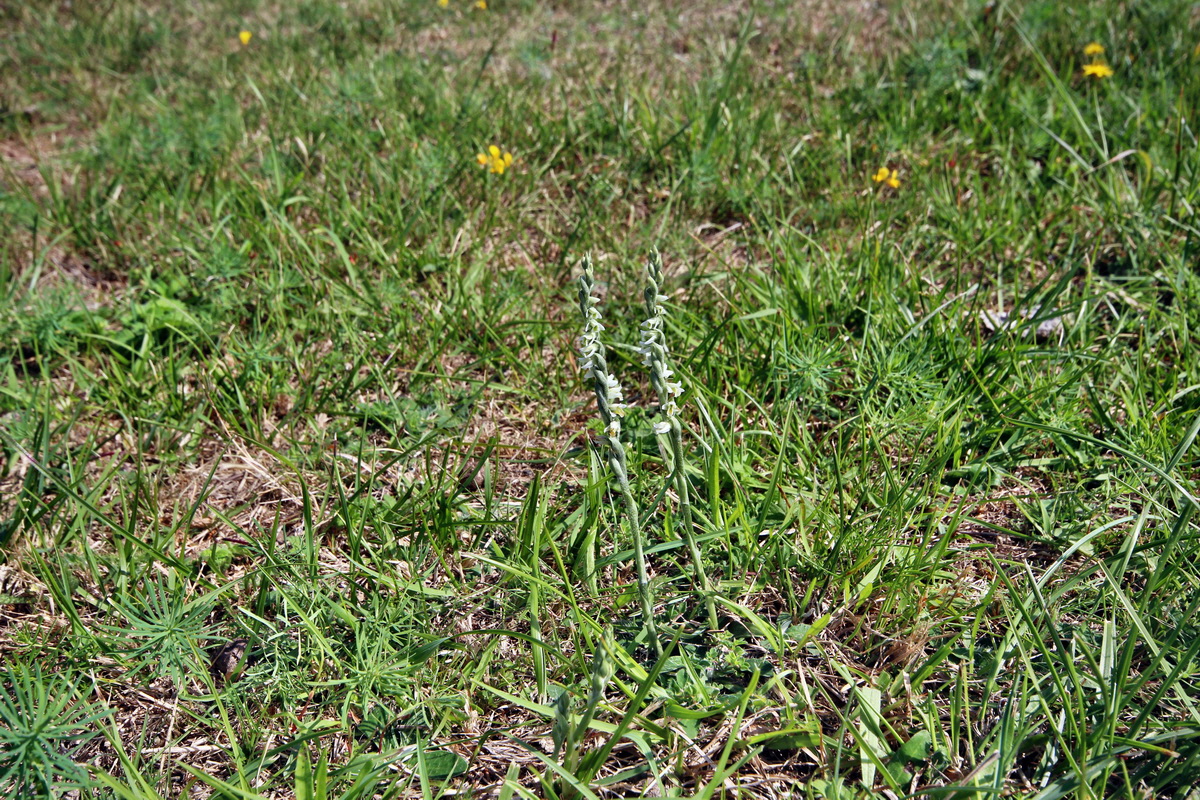 2013_08_26_00029307p_Bildgr��e �ndern