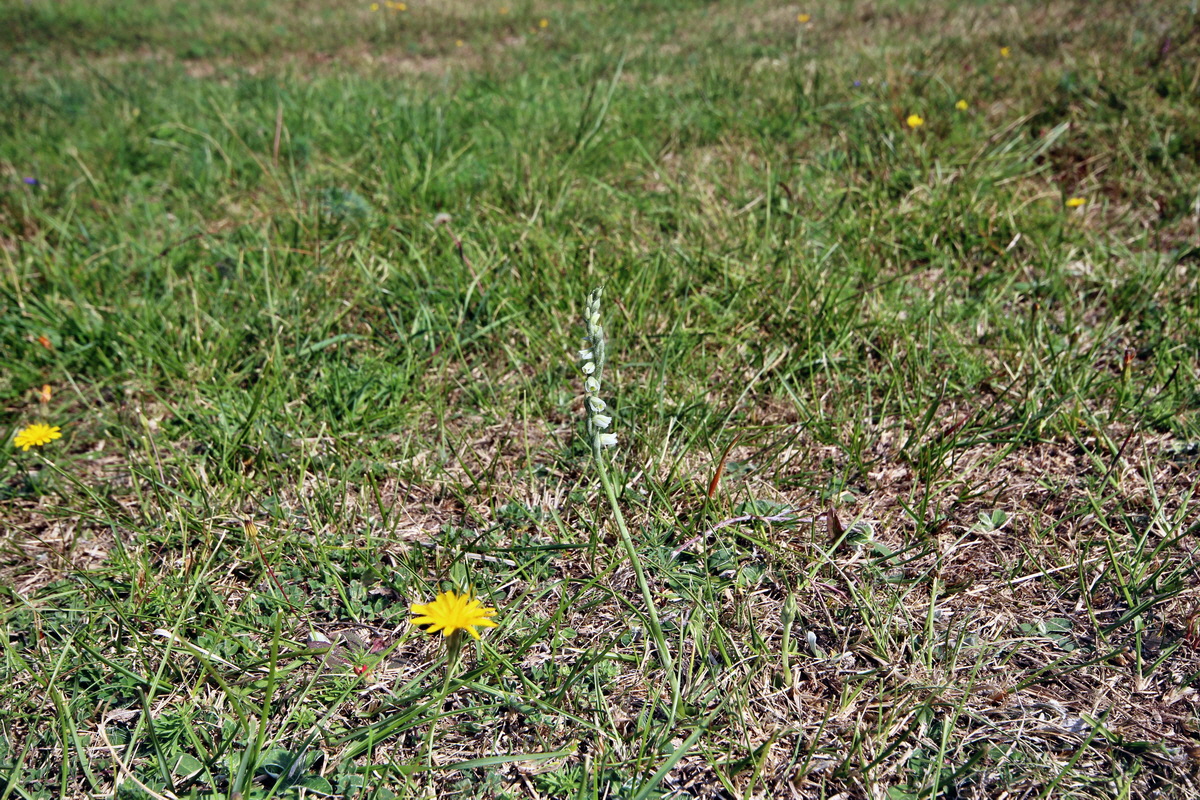 2013_08_26_00029309p_Bildgr��e �ndern