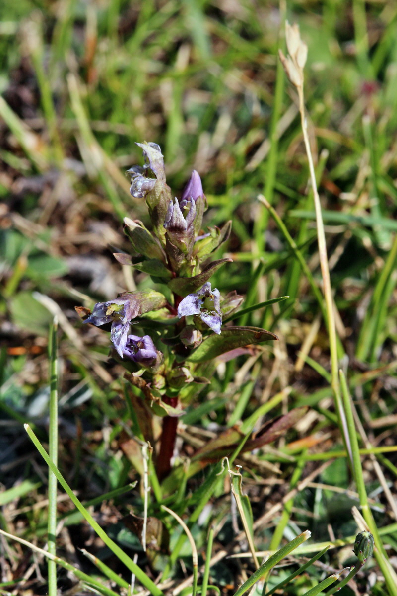 2013_08_26_00029312p_Bildgr��e �ndern