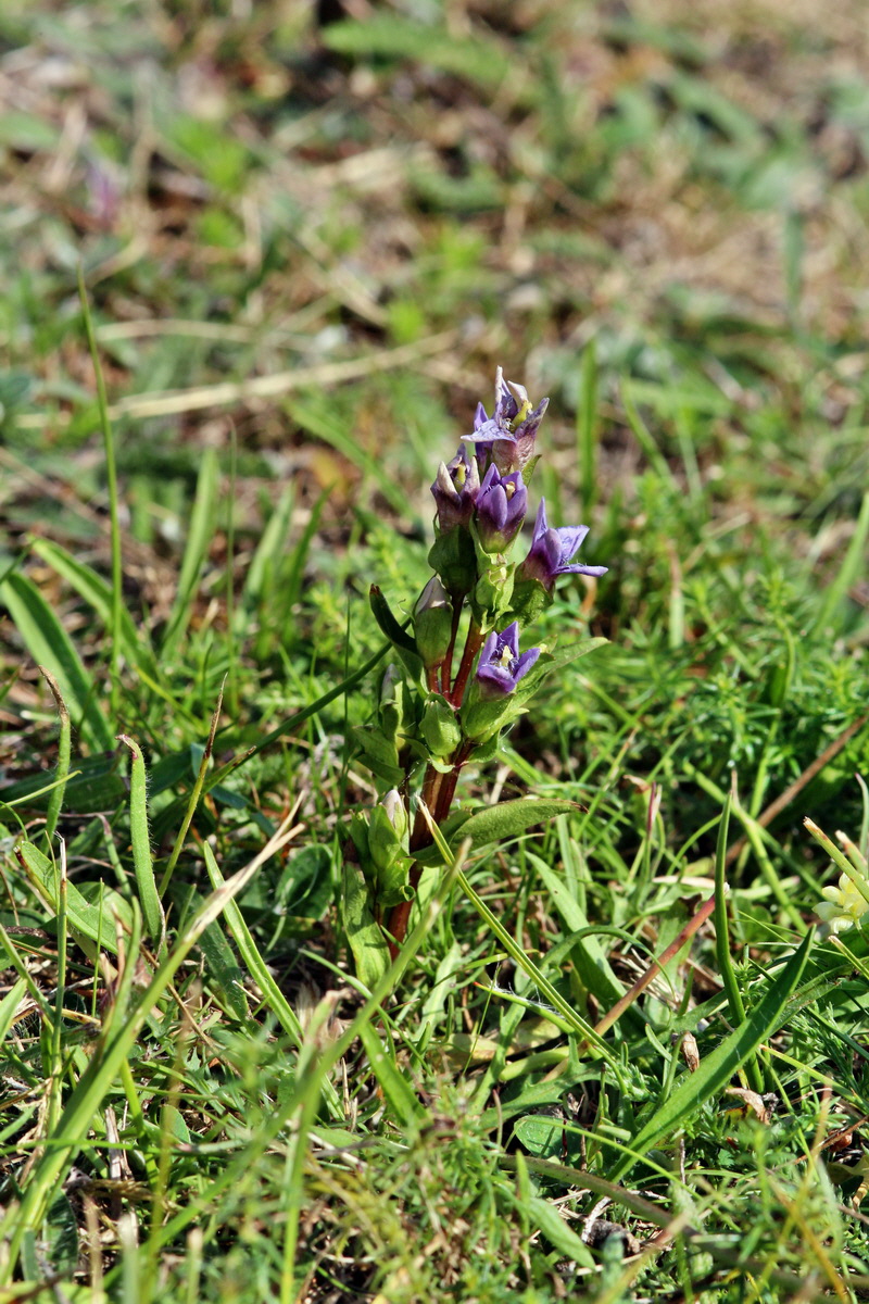 2013_08_26_00029315p_Bildgr��e �ndern