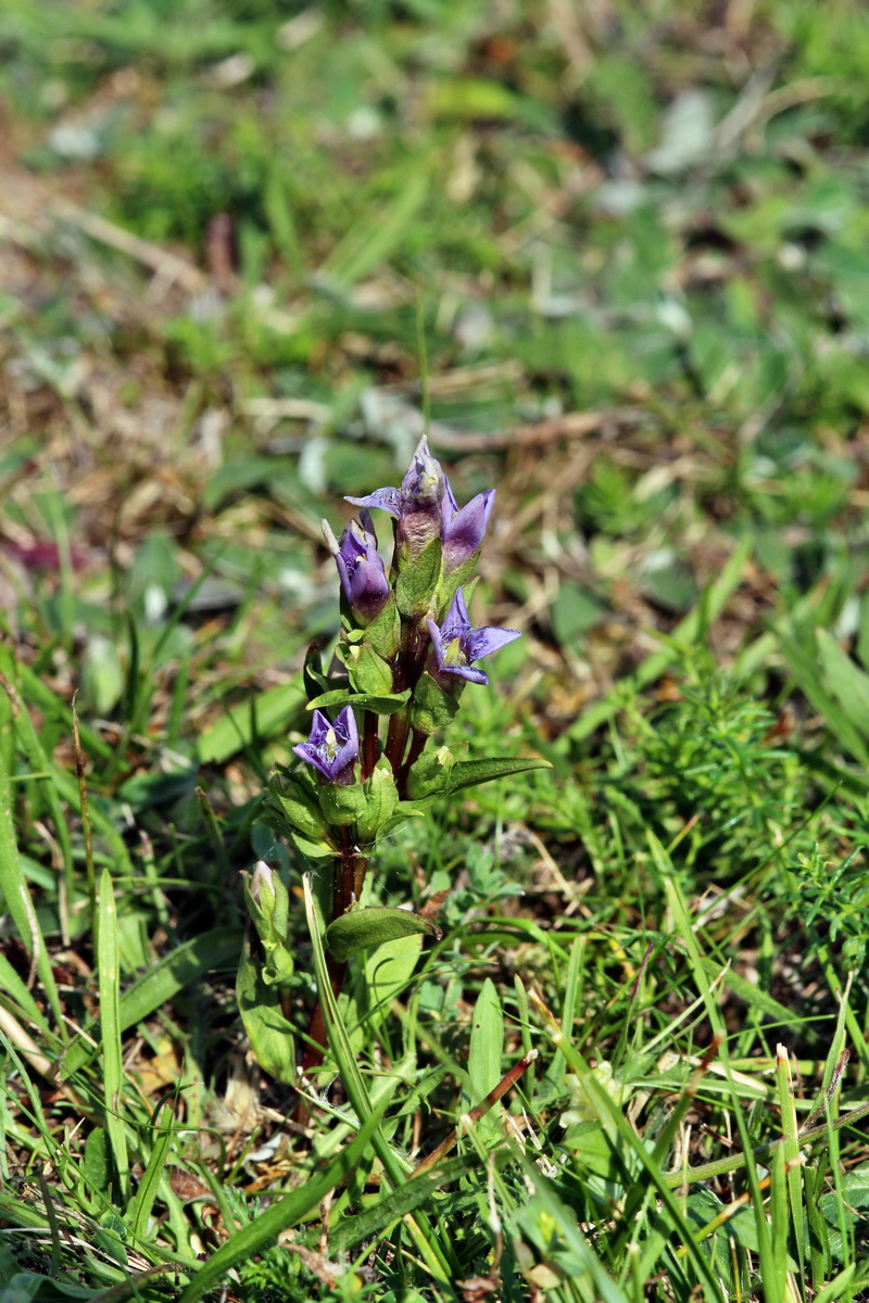 2013_08_26_00029317p_Bildgr��e �ndern