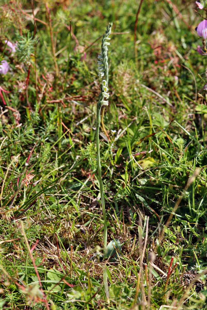 2013_08_26_00029346p_Bildgr��e �ndern