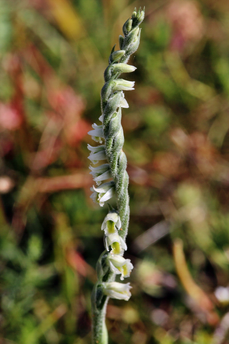 2013_08_26_00029351p_Bildgr��e �ndern