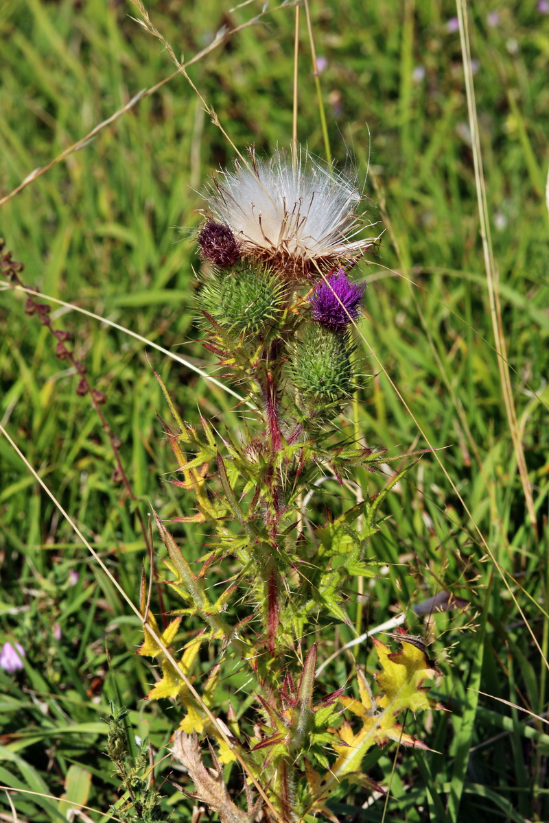 2013_08_26_00029369p_Bildgr��e �ndern